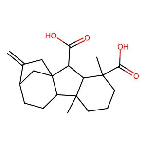 Gibberellin A12 structure