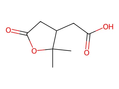 萜品酸 structure