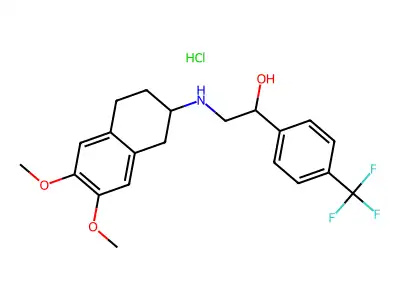 ST 590 structure
