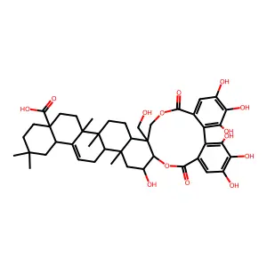 Castanopsiniin A structure