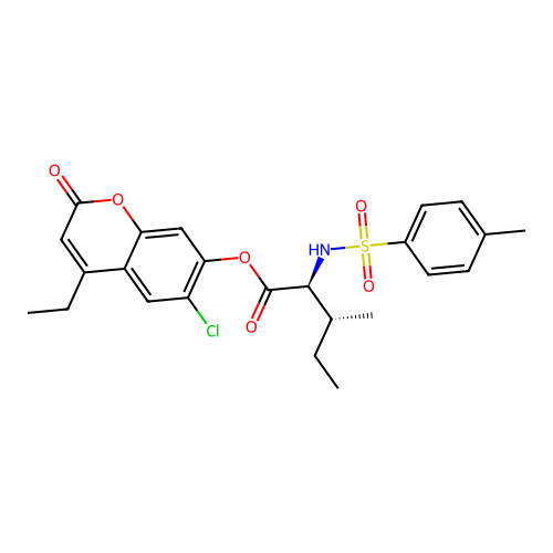 EiM07-19753 structure