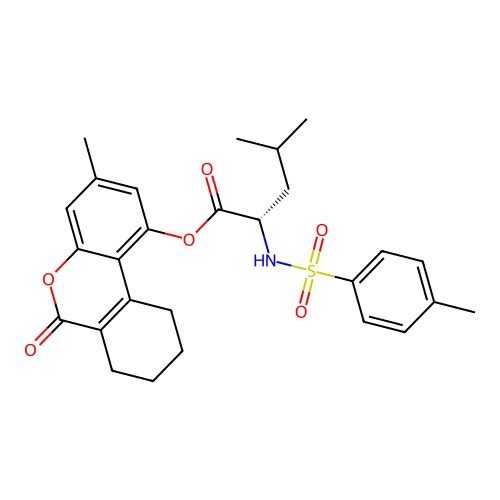 (3-methyl-6-oxo-7,8,9,10-tetrahydrobenzo[c]chromen-1-yl) (2S)-4-methyl-2-[(4-methylphenyl)sulfonylamino]pentanoate structure