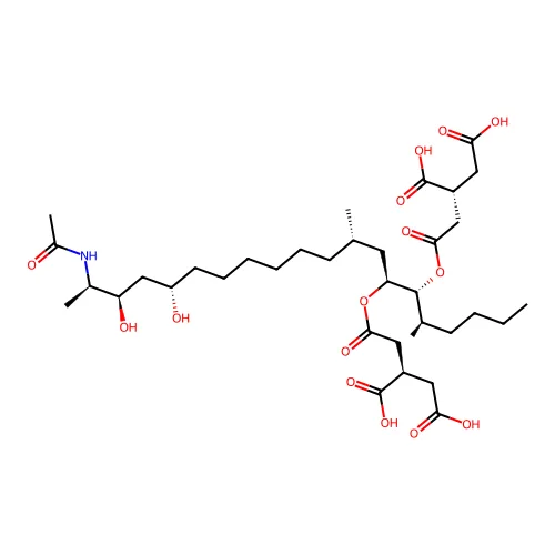 (2R)-2-[2-[(5R,6R,7S,9S,16S,18R,19R)-19-乙酰氨基-6-[(3R)-3,4-二羰氧代丁酰]氧代-16,18-二羟基-5,9-二甲基二十-7-基]氧代-2-氧代乙基]丁二酸 structure