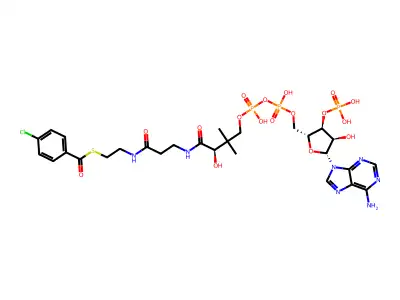 4-Chlorobenzoyl-CoA structure
