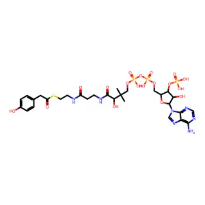 4-Hydroxyphenylacetyl-CoA structure