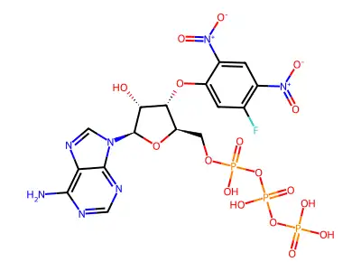 3'-O-(5-Fluoro-2,4-dinitrophenyl)ATP ether structure
