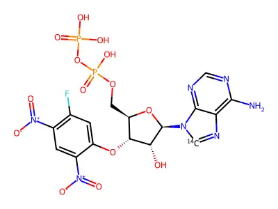 3'-O-(5-fluoro-2,4-dinitrophenyl)ADP ether structure