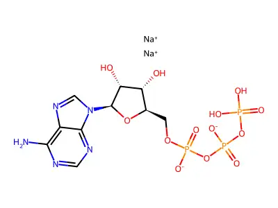 ATP (Adenosine-Triphosphate) structure