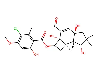 Adenosine, 2'-deoxy-N-((1R,2S,3S,4R)-1,2,3,4-tetrahydro-2,3,4-trihydroxybenzo(c)phenanthren-1-yl)- structure