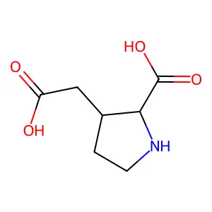 2-羧基-3-吡咯烷乙酸 structure