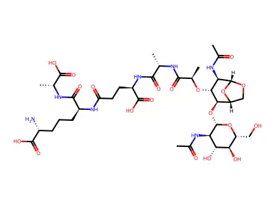 Tat-BP structure