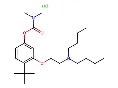 Carbamic acid, dimethyl-, 3-(2-(dibutylamino)ethoxy)-4-(1,1-dimethylethyl)phenyl ester, monohydrochloride structure