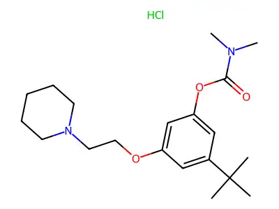 Carbamic acid, dimethyl-, 5-(1,1-dimethylethyl)-3-(2-(1-piperidinyl)ethoxy)phenyl ester, monohydrochloride structure