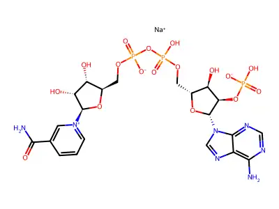 辅脱氢酶II structure