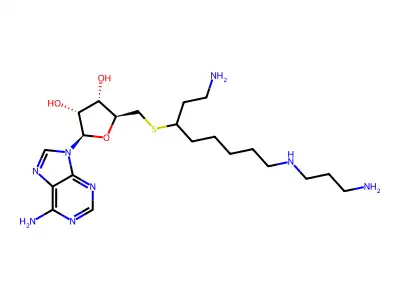 S-adenosyl-1,12-diamino-3-thio-9-azadodecane structure