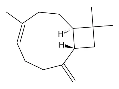 (-)-Isocaryophyllene structure