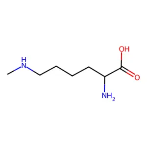 N-methyllysine structure