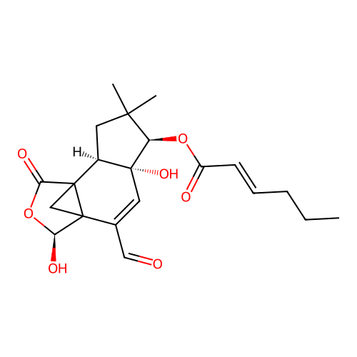 Pilatin structure