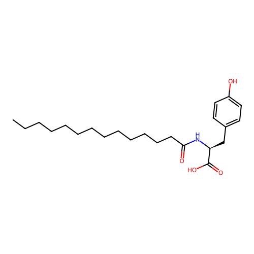 n-Myristoyltyrosine structure