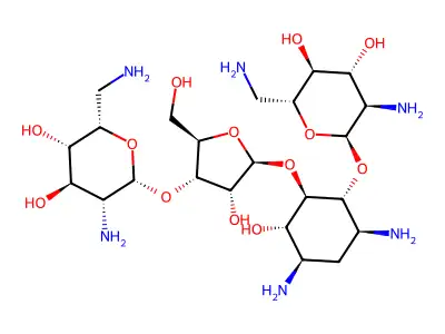 Neomycin structure