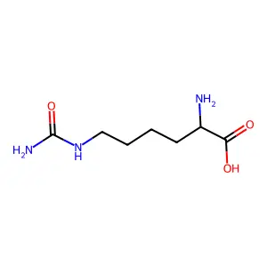 Homocitrulline structure