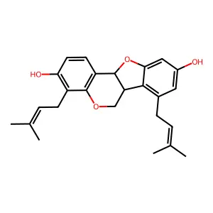 Crassicautine structure