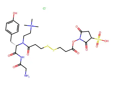 3,3'-Dithiopropionyl-1-sulfosuccinimidyl 1'-glycyl-tyrosyl cholamine structure