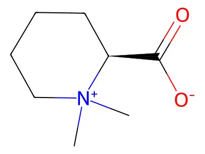 Homostachydrine structure