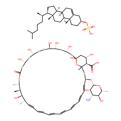 Amphocil structure