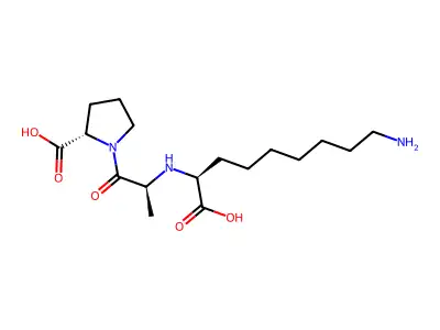 N-(8-amino-1-carboxyoctyl)-alanyl-proline structure