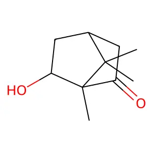 6-Hydroxycamphor structure