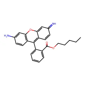 Amyl rhodamine structure