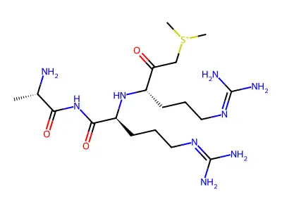 Alanyl-arginyl-arginylmethyldimethylsulfonium structure