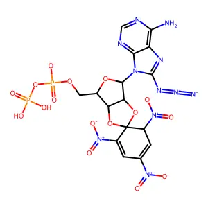 2',3'-O (2,4,6-trinitrophenyl)-8-azidoadenosine diphosphate structure