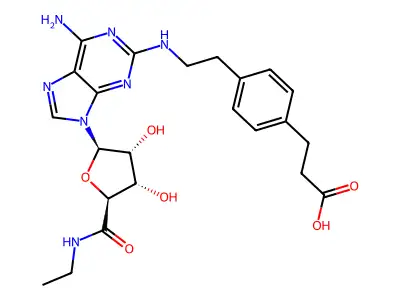 CGS21680盐酸盐 structure