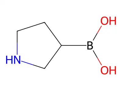 3-(Pyrrolidino)phenylboronic acid structure