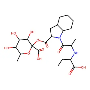 Perindoprilat glucuronide structure