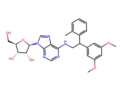 DPMA structure