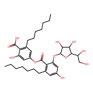KS 502 structure