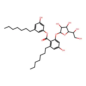 KS 501 structure