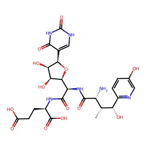 Nikkomycin pseudo-J structure
