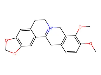Lambertine structure