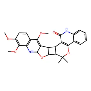 Haplodimerine structure