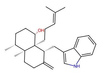 Nominine (Aspergillus) structure