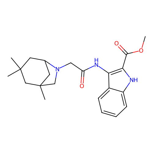 methyl 3-(2-((1R,5S)-1,3,3-trimethyl-6-azabicyclo[3.2.1]octan-6-yl)acetamido)-1H-indole-2-carboxylate structure
