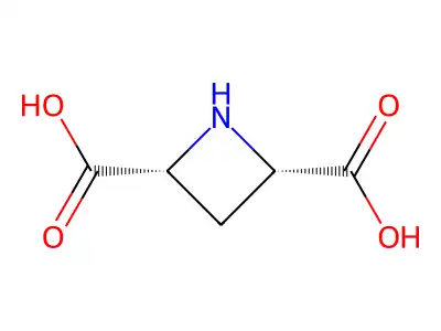(2R,4S)-氮杂环丁烷-2,4-二甲酸 structure