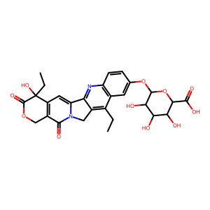 SN-38G structure
