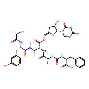 Pacidamycin 2 structure
