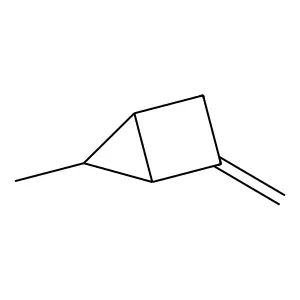 Endo-2-methylene-5-methylbicyclo[2.1.0]pentane structure