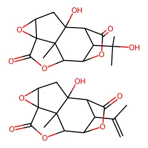 Cocculin structure